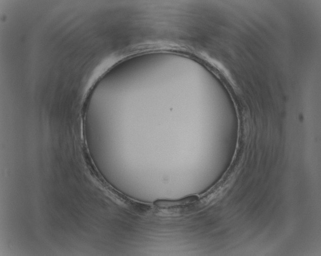 X0000078261365200612011644