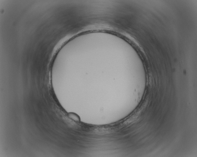 X0000078261366200612011644