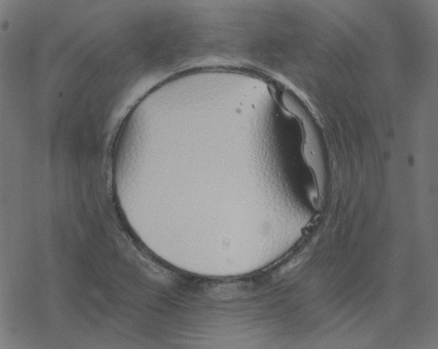 X0000078261367200612011644