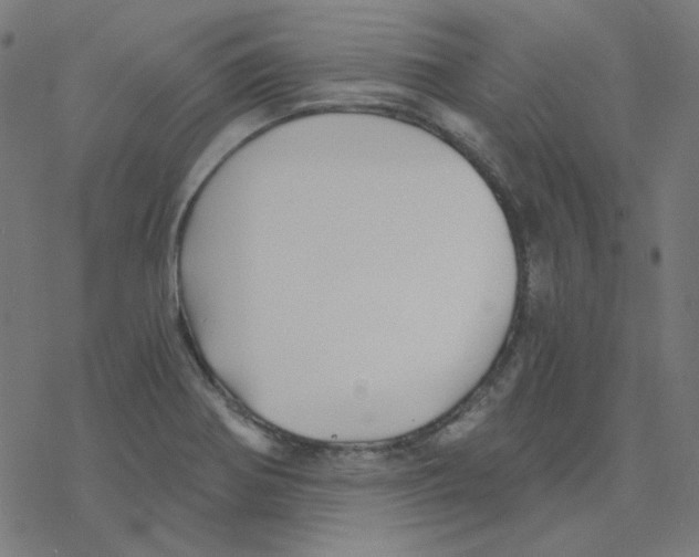 X0000078261370200612011644