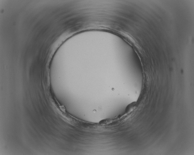 X0000078261371200612011644