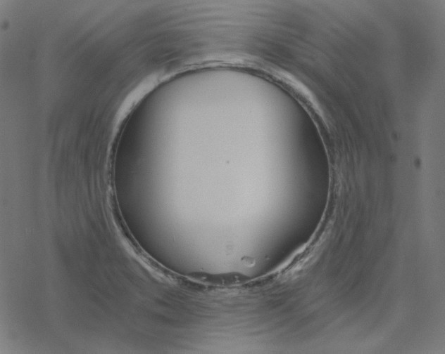 X0000078261373200612011644