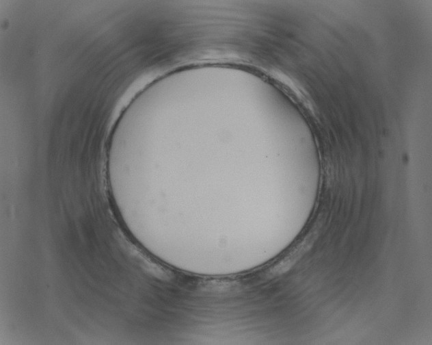 X0000078261374200612011644