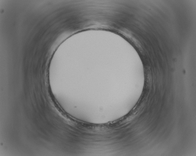 X0000078261375200612011644