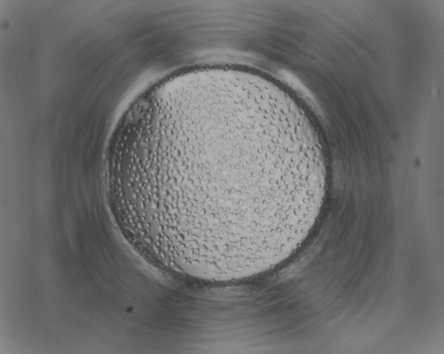 X0000078261376200612011644