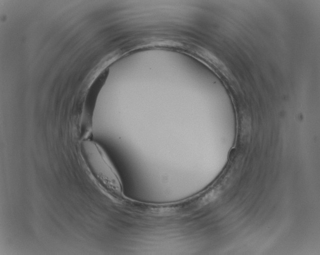 X0000078261377200612011644