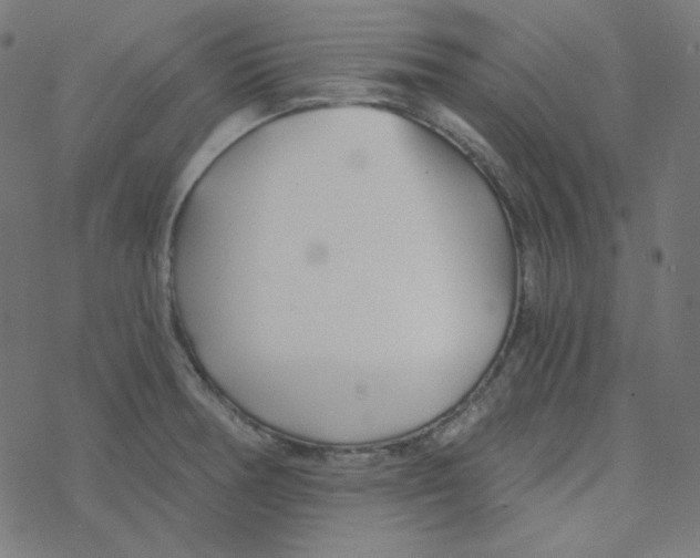 X0000078261378200612011644