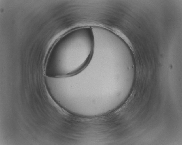 X0000078261380200612011644