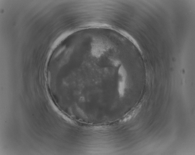 X0000078261381200612011644