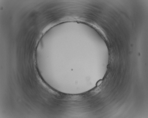 X0000078261382200612011644