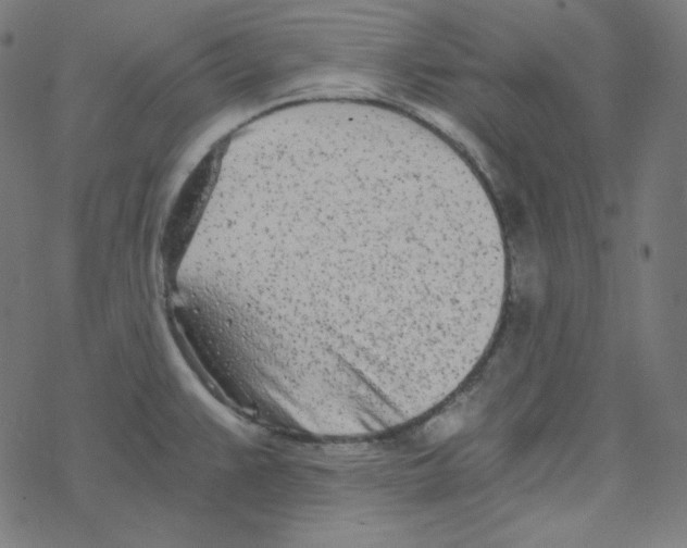 X0000078261383200612011644