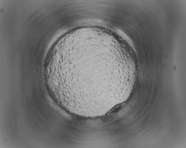 X0000078261384200612011644