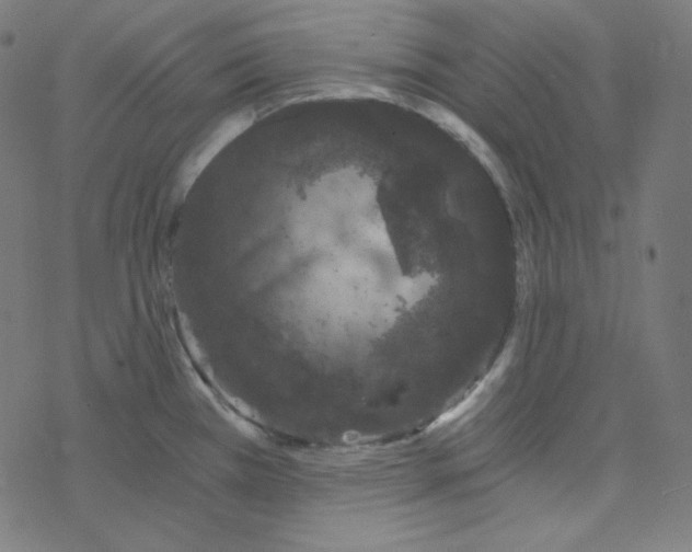 X0000078261385200612011643