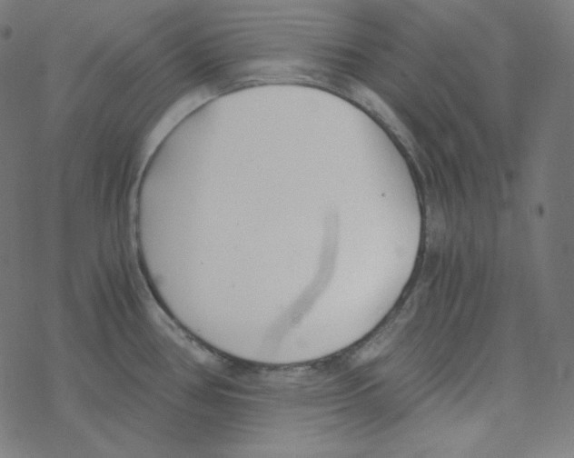 X0000078261386200612011643