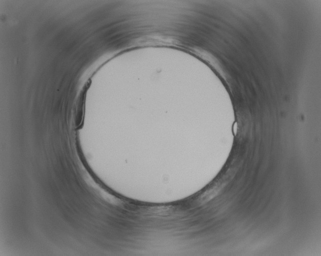 X0000078261387200612011643