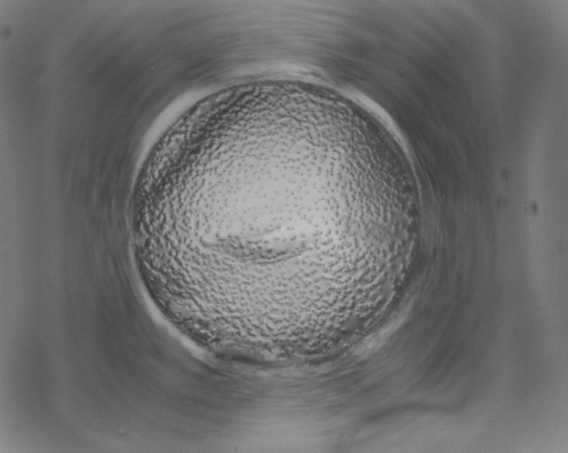 X0000078261389200612011643