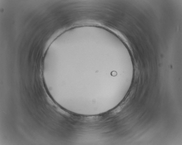 X0000078261390200612011643