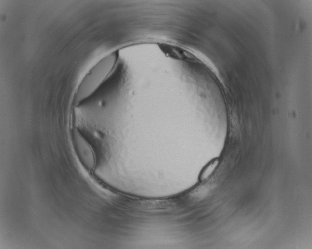 X0000078261391200612011643