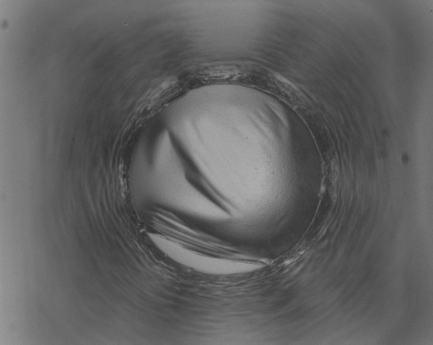 X0000078261394200612011643