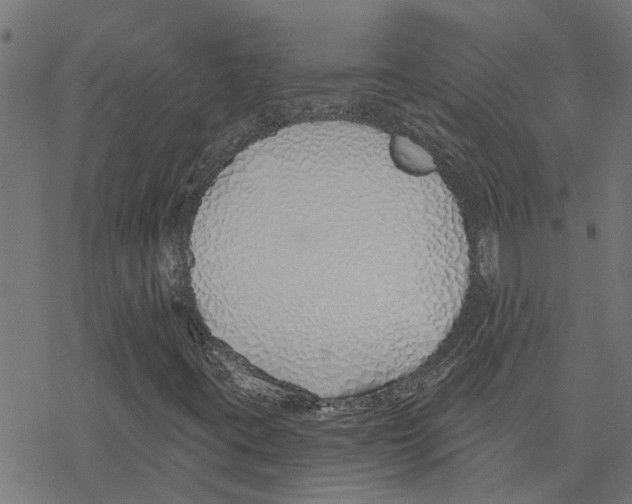 X0000078261395200612011643