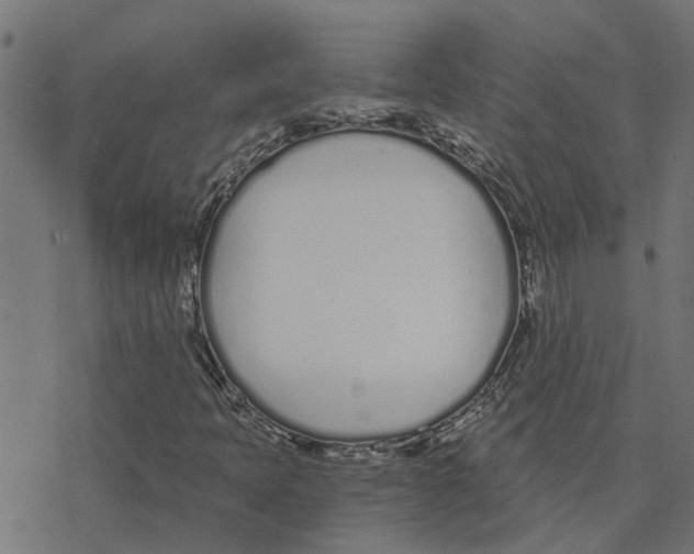 X0000078261397200612011643