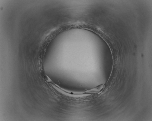 X0000078261398200612011643