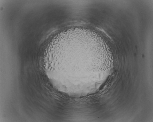 X0000078261399200612011643