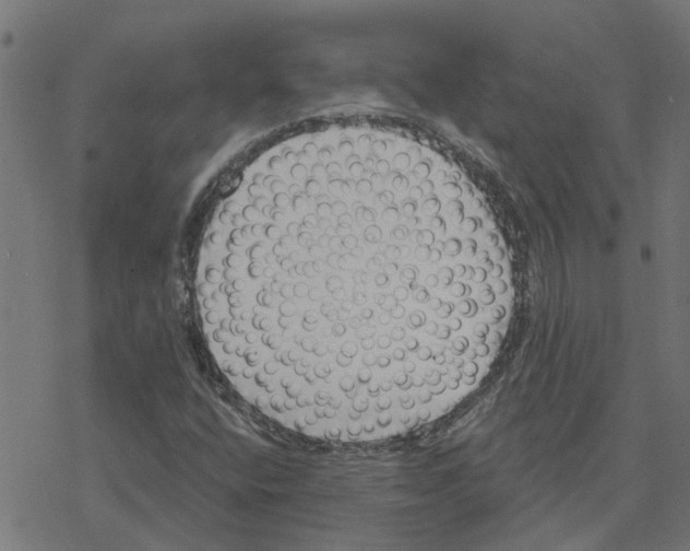 X0000078261400200612011643