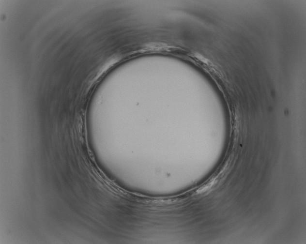 X0000078261401200612011643