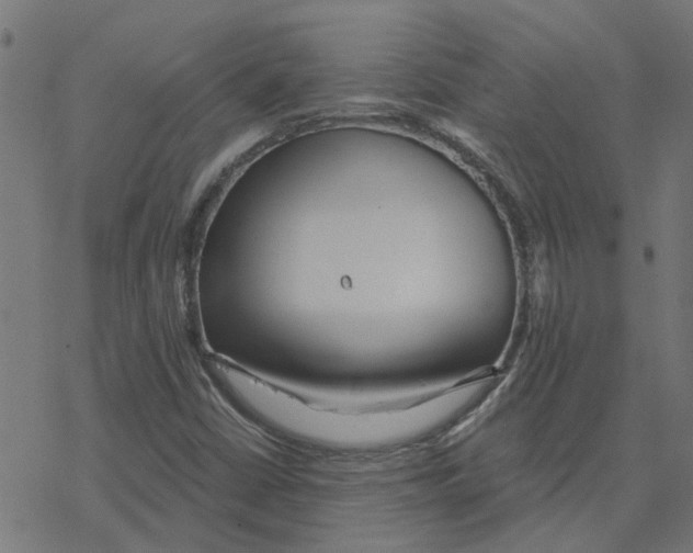 X0000078261402200612011643