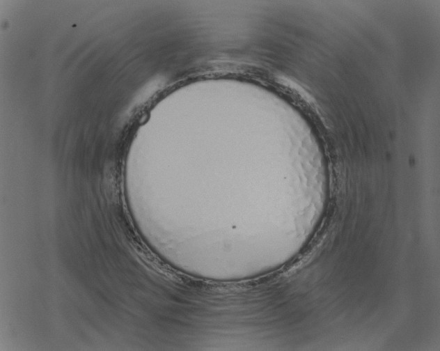 X0000078261403200612011643