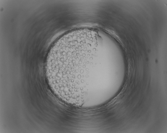 X0000078261404200612011643