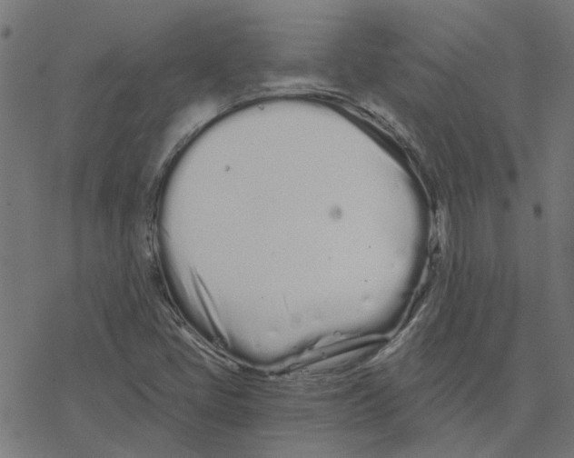 X0000078261405200612011643