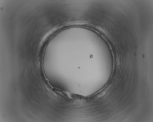 X0000078261406200612011643