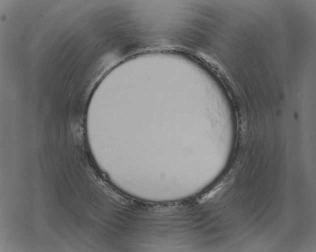 X0000078261409200612011643