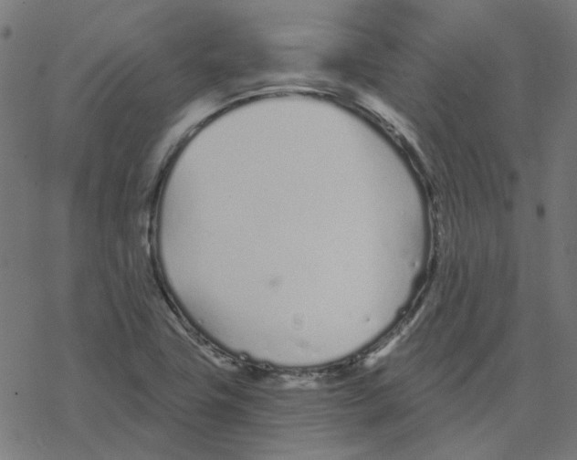 X0000078261411200612011643