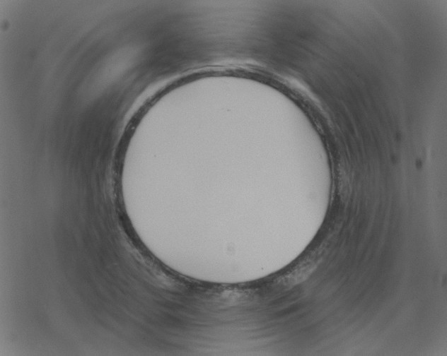 X0000078261412200612011643