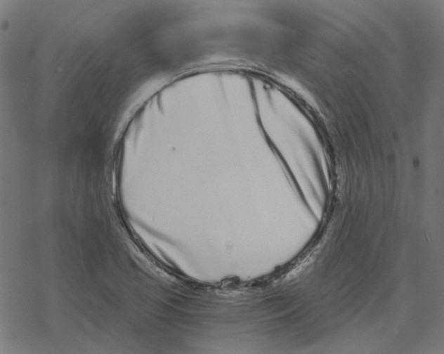 X0000078261413200612011643