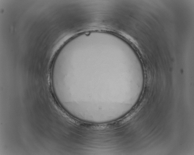 X0000078261415200612011643