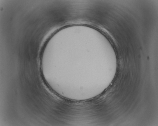 X0000078261416200612011643