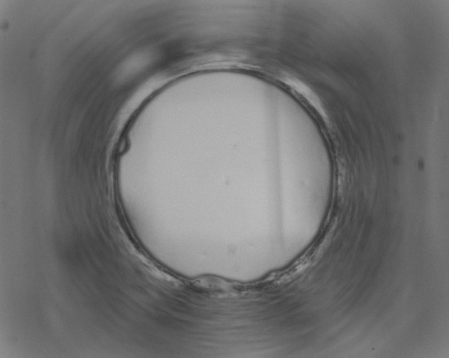 X0000078261419200612011643