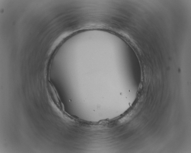 X0000078261422200612011643