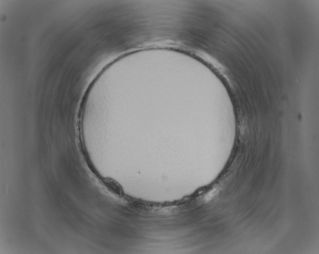 X0000078261423200612011643