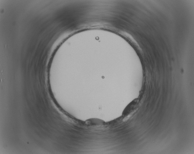 X0000078261424200612011643