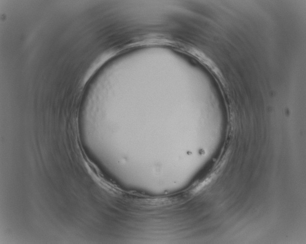 X0000078261425200612011643