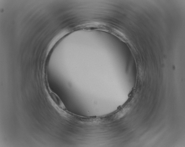 X0000078261426200612011643