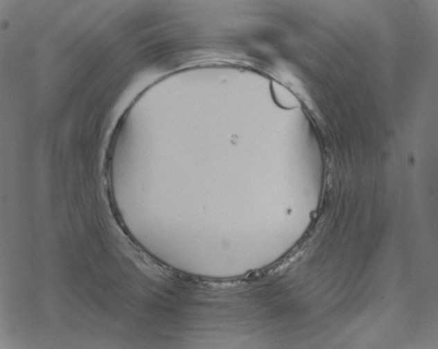 X0000078261427200612011643