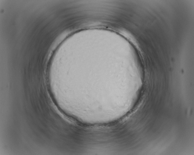 X0000078261429200612011643