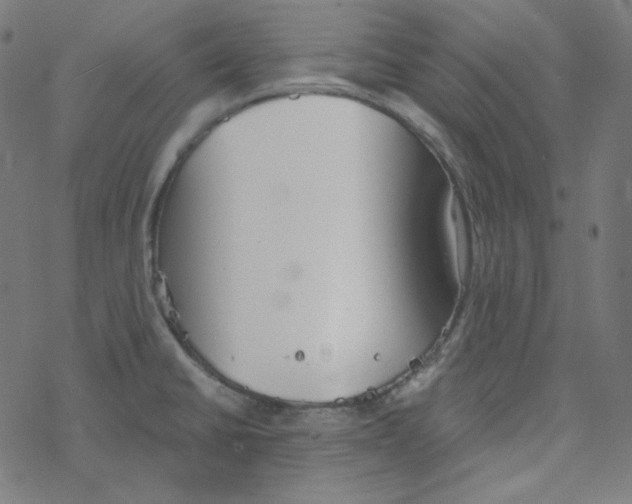 X0000078261430200612011643