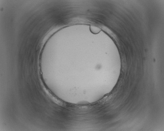 X0000078261431200612011643